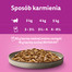 WHISKAS Adult saszetka 12x85g Drobiowe Frykasy mokra karma dla dorosłych kotów w galaretce z: kurczakiem, indykiem, drobiem, kaczką
