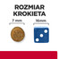 HILL'S Prescription Diet c/d Multicare Stress Urinary Care sucha karma dla kotów z rybą morską 8kg