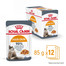 ROYAL CANIN Hair&Skin w galaretce karma mokra dla kotów dorosłych, zdrowa skóra, piękna sierść 12 x 85 g
