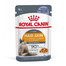 ROYAL CANIN Hair&Skin w galaretce karma mokra dla kotów dorosłych, zdrowa skóra, piękna sierść 12 x 85 g