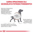 ROYAL CANIN Dog Gastro Intestinal Low Fat 12 kg sucha karma o obniżonej zawartości tłuszczu dla psów z zaburzeniami żołądkowo-jelitowymi