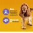 PEDIGREE Multivitamins Trawienie karma uzupełniająca na trawienie dla dorosłych psów smak kurczaka 180 g