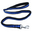 PET NOVA Smycz rozciągliwa BUNGEE niebieska 120-180 cm / 2,5 cm