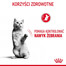 ROYAL CANIN Appetite Control 3,5 kg sucha karma dla dorosłych kotów, domagających się jedzenia