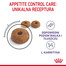 ROYAL CANIN Appetite Control 3,5 kg sucha karma dla dorosłych kotów, domagających się jedzenia