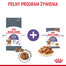 ROYAL CANIN Appetite Control 3,5 kg sucha karma dla dorosłych kotów, domagających się jedzenia