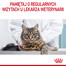 ROYAL CANIN Appetite Control 3,5 kg sucha karma dla dorosłych kotów, domagających się jedzenia