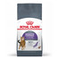 ROYAL CANIN Appetite Control 3,5 kg sucha karma dla dorosłych kotów, domagających się jedzenia