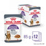ROYAL CANIN Appetite Control w sosie 85g mokra karma dla kotów dorosłych