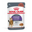 ROYAL CANIN Appetite Control w sosie 85g mokra karma dla kotów dorosłych