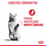 ROYAL CANIN Appetite Control Jelly 85 g mokra karma dla dorosłych kotów z nadmiernym apetytem