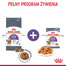 ROYAL CANIN Appetite Control Jelly 85 g mokra karma dla dorosłych kotów z nadmiernym apetytem
