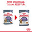 ROYAL CANIN Appetite Control Jelly 85 g mokra karma dla dorosłych kotów z nadmiernym apetytem