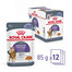 ROYAL CANIN Appetite Control Jelly 85 g mokra karma dla dorosłych kotów z nadmiernym apetytem