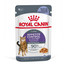 ROYAL CANIN Appetite Control Jelly 85 g mokra karma dla dorosłych kotów z nadmiernym apetytem