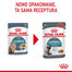 ROYAL CANIN Hairbal Care w sosie karma mokra w sosie dla kotów dorosłych, eliminacja kul włosowych 85 g