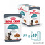 ROYAL CANIN Hairball Care 48x85 g