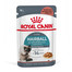 ROYAL CANIN Hairbal Care w sosie karma mokra w sosie dla kotów dorosłych, eliminacja kul włosowych 85 g