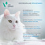 VET EXPERT Skin&Coat Skóra i Sierść Suplement diety dla psa i kota 30 kapsułek