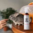 PETS Home Mist Perfume Sea Breeze 250 ml neutralizator zapachów w mgiełce do wnętrz