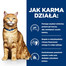 Prescription Diet Feline C/D Multicare Urinary care z łososiem 12x85g w saszetkach