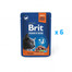 BRIT PREMIUM Pouch Salmon Sterilized 6 x 100g z łososiem dla kotów sterylizowanych