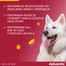 BAYER ADVANTIX Roztwór do nakrapiania dla psów od 25 do 40 kg (1 x 4 ml)