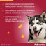 BAYER ADVANTIX Roztwór do nakrapiania dla psów od 10 do 25 kg (4 x 2,5 ml)