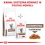 ROYAL CANIN Cat Gastro Intestinal 400g sucha karma dla kotów z zaburzeniami żołądkowo-jelitowymi