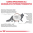 ROYAL CANIN Cat Gastro Intestinal Hairball 4 kg karma dla dorosłych kotów odkłaczająca