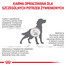 ROYAL CANIN VHN Dog Hepatic 7 kg sucha karma dla dorosłych psów ze schorzeniami wątroby