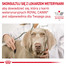 ROYAL CANIN VHN Dog Hepatic 7 kg sucha karma dla dorosłych psów ze schorzeniami wątroby