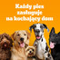 PEDIGREE Adult Mini 2 kg z wołowiną i warzywami dla psów małych ras
