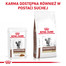 ROYAL CANIN Gastrointestinal Fibre Response 12x85 g karma w sosie dla kotów cierpiących na zakłaczenia i zaparcia