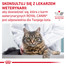 ROYAL CANIN Gastrointestinal Fibre Response 12x85 g karma w sosie dla kotów cierpiących na zakłaczenia i zaparcia