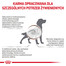 ROYAL CANIN Veterinary Gastrointestinal High Fibre pasztet 410 g pasztet dla psów z zaburzeniami trawienia