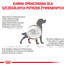 ROYAL CANIN Veterinary Gastrointestinal Low Fat pasztet o obniżonej zawartości tłuszczu dla psów z zaburzeniami żołądkowo-jelitowymi