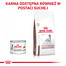 ROYAL CANIN Hepatic 200 g mokra karma mokra dla dorosłych psów ze schorzeniami wątroby