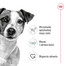 ROYAL CANIN Mini Adult 4kg karma sucha dla psów dorosłych, ras małych