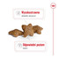 ROYAL CANIN Mini Adult 800g karma sucha dla psów dorosłych, ras małych