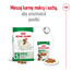 ROYAL CANIN Mini Adult 4kg karma sucha dla psów dorosłych, ras małych
