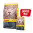 JOSERA Cat Catelux 10 kg karma przeciwdziałająca tworzeniu kul włosowych + 2 kg karmy GRATIS