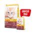 JOSERA Kitten 10 kg sucha karma dla kociąt i kotek ciężarnych lub karmiących + 2 kg karmy GRATIS