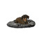 Legowsiko "Gino cushion" 50 x 35 cm szary