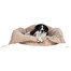 Legowisko king of dogs 70 x 55 cm beżowe