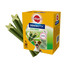 PEDIGREE DentaStix Daily Fresh przysmaki o smaku kurczaka dla psów małych ras 4x110g