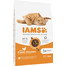 Cat Adult All Breeds Chicken 10 kg