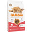 Cat Adult All Breeds Salmon 3 kg