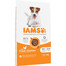 For Vitality Senior Small & Medium Breed Chicken 5 kg