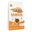 IAMS for Vitality Kitten ze świeżym kurczakiem 3 kg